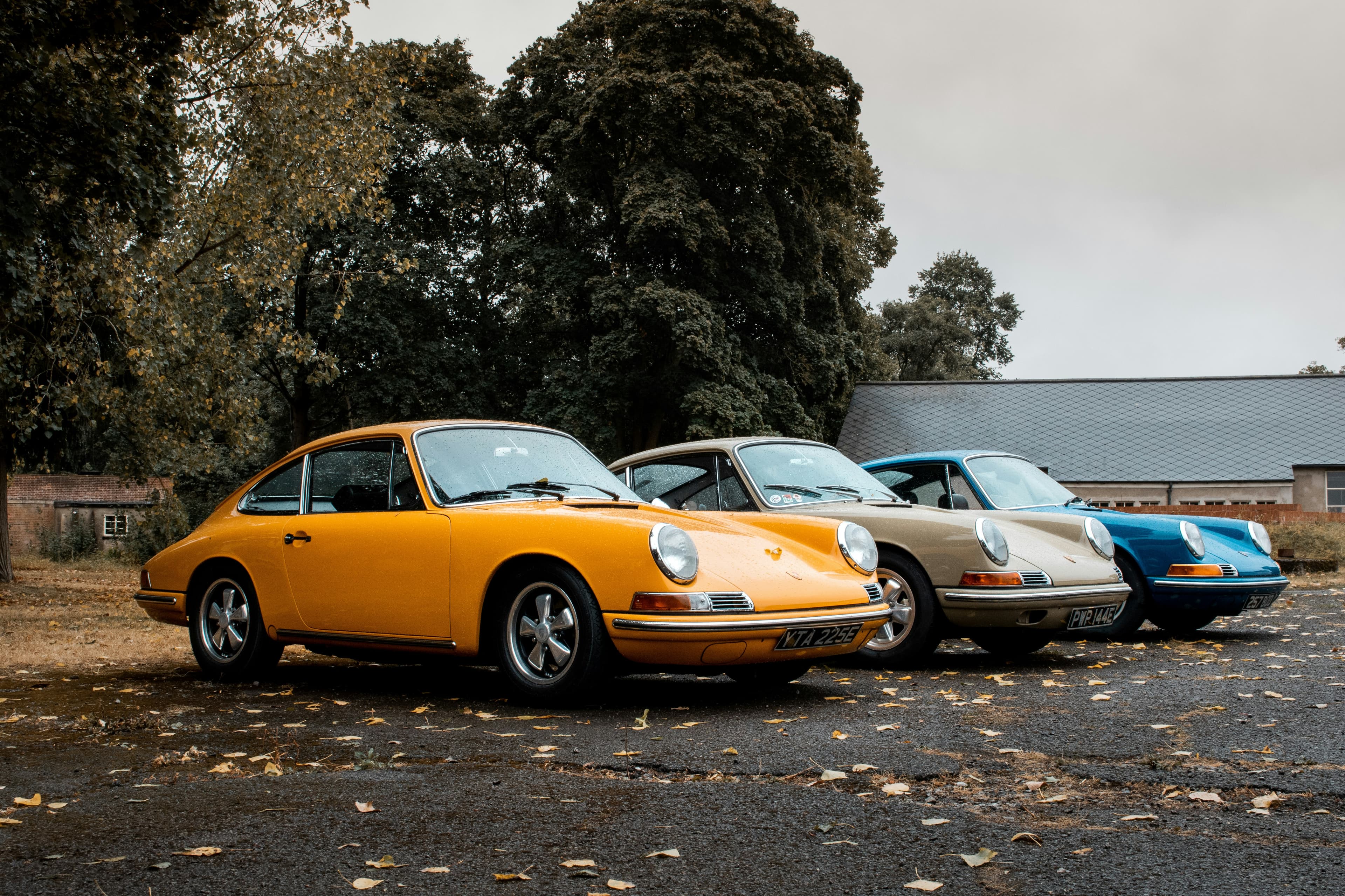 Behind the Gavel: Who Auctions Cars?